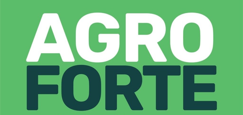 Araguaçu sedia nova edição do projeto AGROFORTE do Sistema FAET/Senar